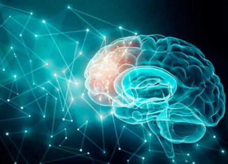 Human brain activity with plexus lines.. External cerebral connections in the frontal lobe. Communication, psychology, artificial intelligence or AI, neuronal informations or cognition concepts illustration with copy space.